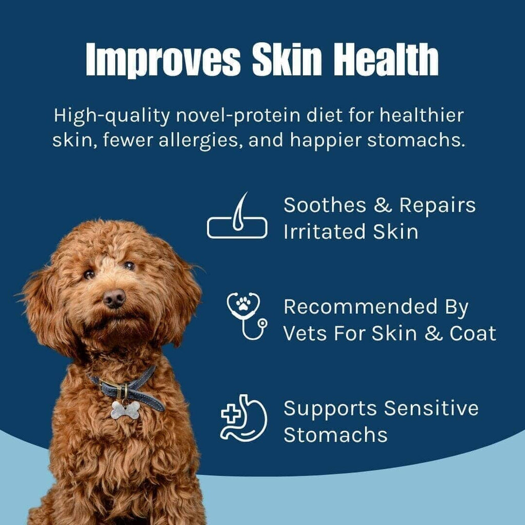 Mini Canada - Sensitive Dog