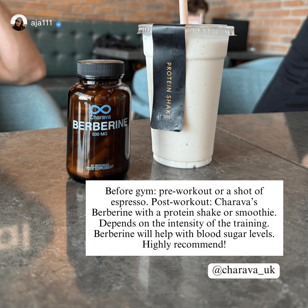 Berberine 500mg